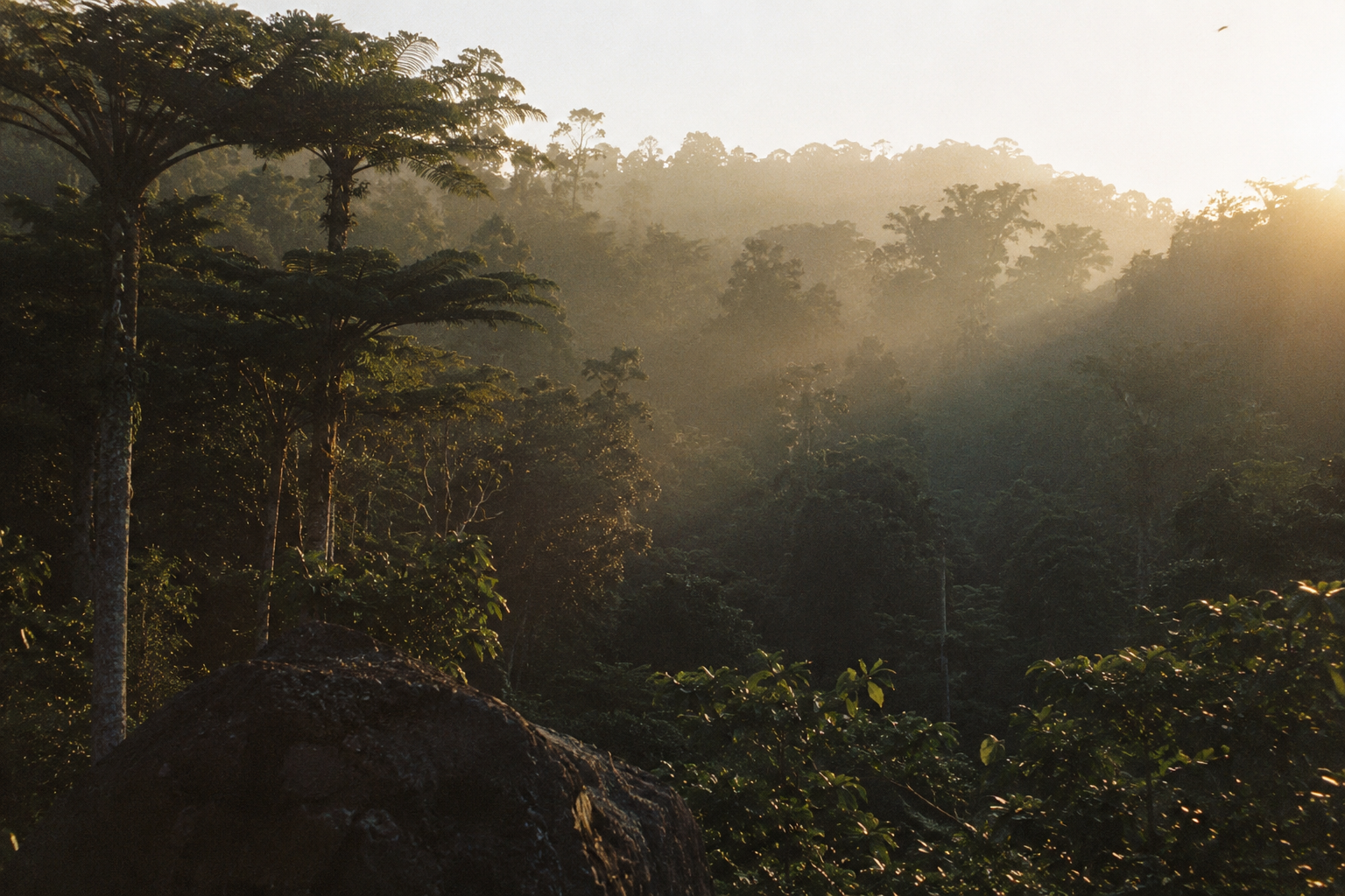 Sacred mist landscape